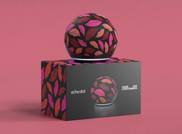 Echo Dot 4: 