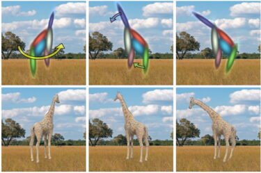 GaussiGAN: Ob die Giraffe richtig steht, seht ihr, wenn KI angeht