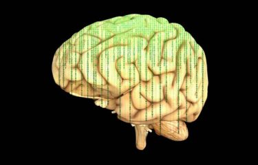 Epilepsie: Künstliche Intelligenz sagt mit hoher Genauigkeit Anfall voraus