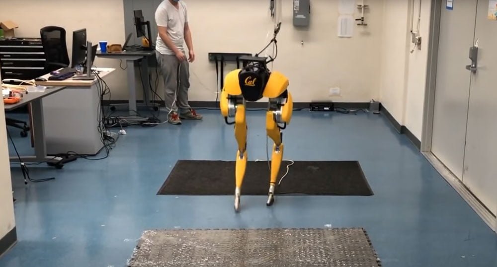 KI macht Beine: Roboter lernt selbstständig laufen