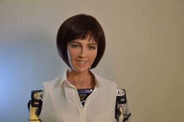 Robotik-Wissenschaftler: Robotersex bitte nur mit Zustimmung des Roboters