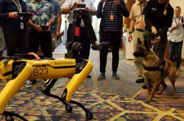 Maschine trifft Tier: Hunderoboter SpotMini spielt mit Polizeihund