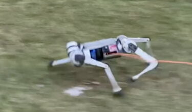 Roboter-Hund bricht Geschwindigkeitsrekord - Highspeed dank KI