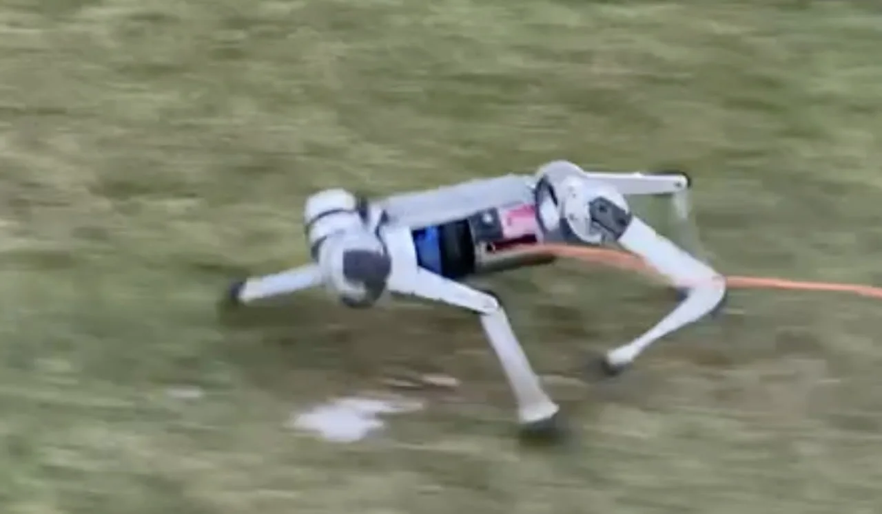 Roboter-Hund bricht Geschwindigkeitsrekord - Highspeed dank KI