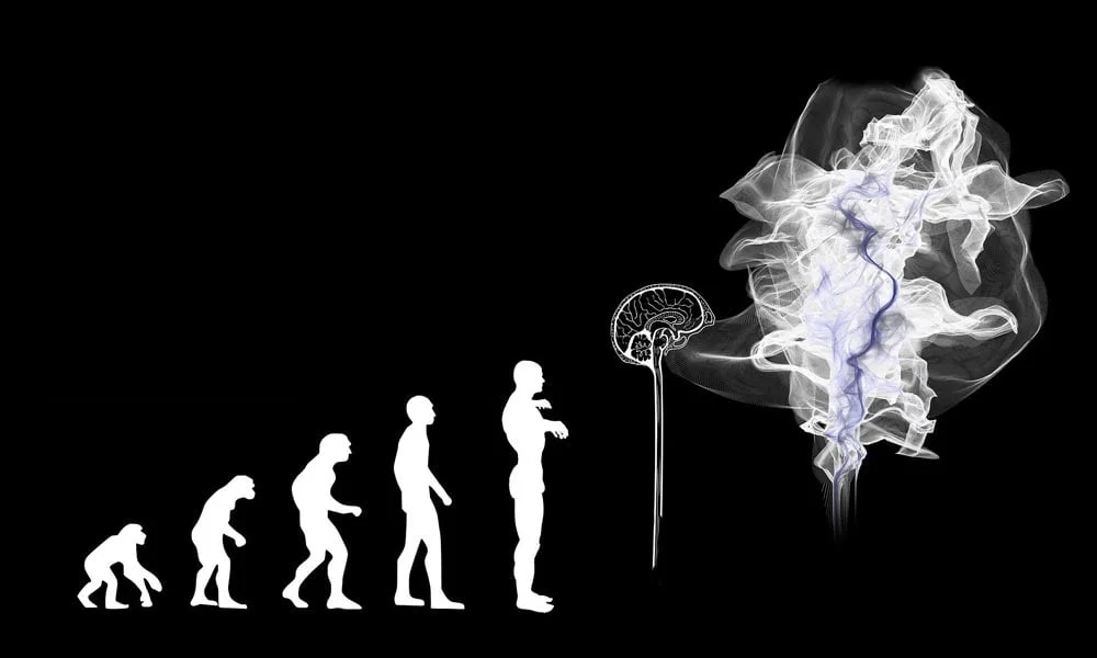 Googles neue KI verbessert sich im Darwin-Stil