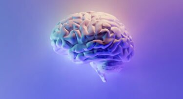 Neurograins: Die Zukunft des Gehirn-Computer-Interface?