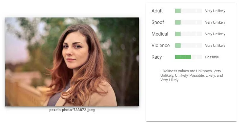 Etwas flott ist das Bild laut der Google-KI, ansonsten aber harmlos. Bild: Screenshot