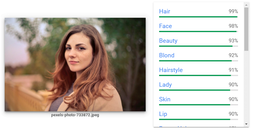 Schönheit, Haarfarbe, Auftreten - auch solche Faktoren untersucht die Bild-KI. Bild: Screenshot