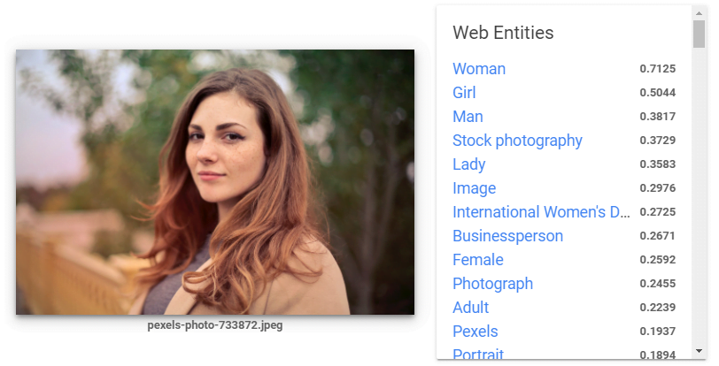 Zum Bildmotiv passende Web-Begriffe. Bild: Screenshot