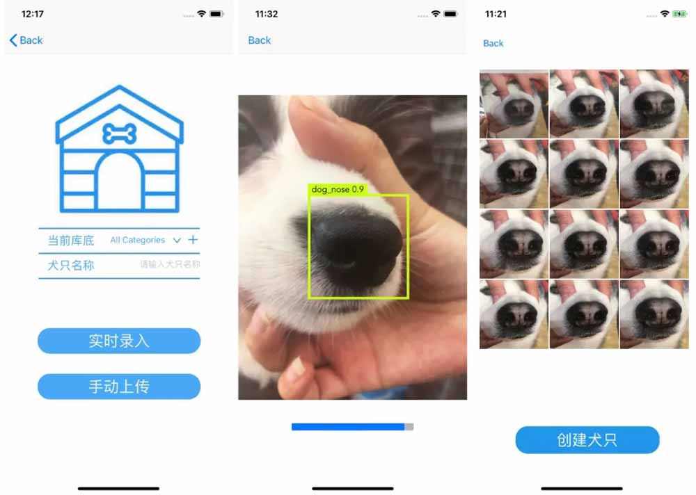 Schnauzen-KI: In China tracken sie Hunde