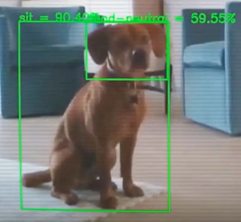 Moderne KI-Bildanalyse macht's möglich: Maschinen lernen, Hundeverhalten zu interpretieren. Bild: Companion
