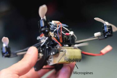 Wespen-Drone trägt das 40-Fache ihres Gewichts – und öffnet Türen