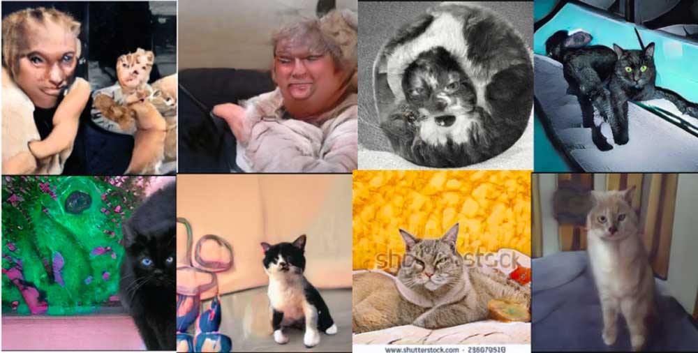 KI generiert Katzenfotos: Webseite 