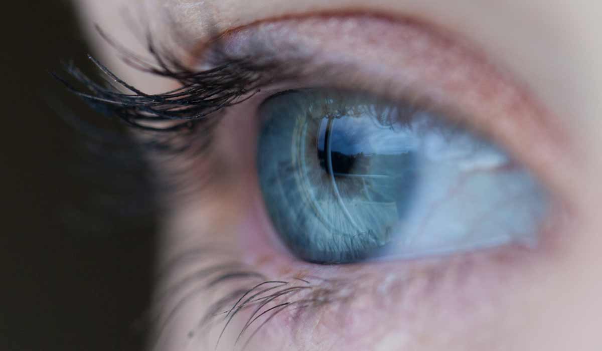 Deepmind: 30 Sekunden bis zur Diagnose - KI-Analyse hängt Augenärzte ab