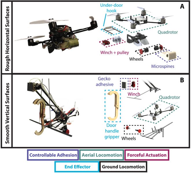 Die Skizze zeigt den Aufbau der Wespen-Drone. Die Winde ist von einer Wespe inspiriert, die Haftbeine schauten sich die Forscher bei einem Gecko ab. Bild: Universität Stanford