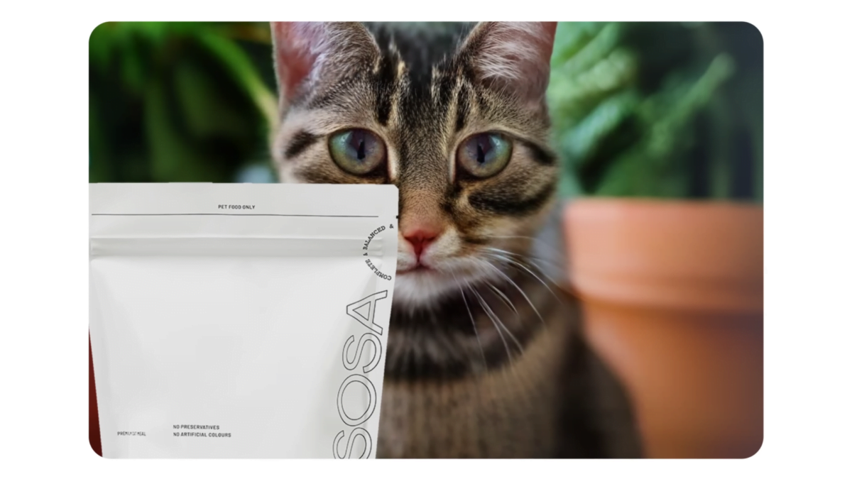 Eine KI-generierte Katze als Hintergrund für ein reales Produktbild.