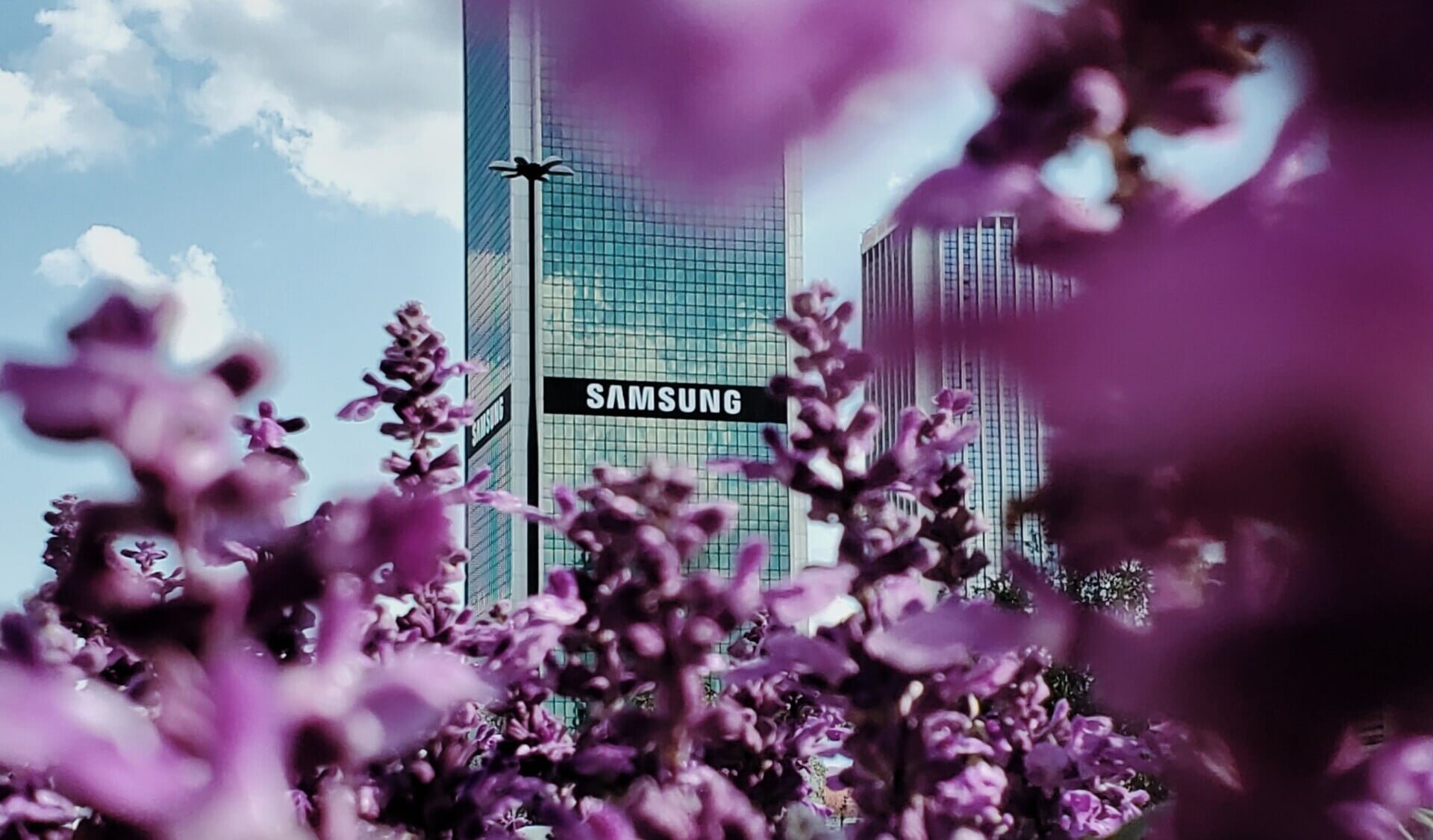 Samsung verbietet Nutzung von ChatGPT, Bard und generativer KI