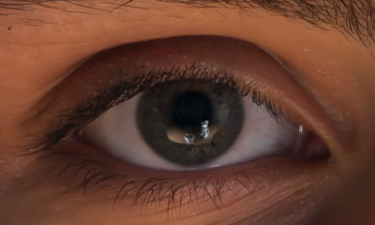 Im Auge des Betrachters: KI rekonstruiert 3D-Szenen aus Augenreflexionen