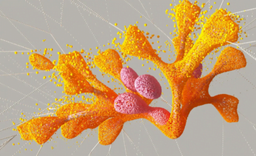 Deepminds AlphaMissense sagt potenziell krankmachende Genmutationen voraus