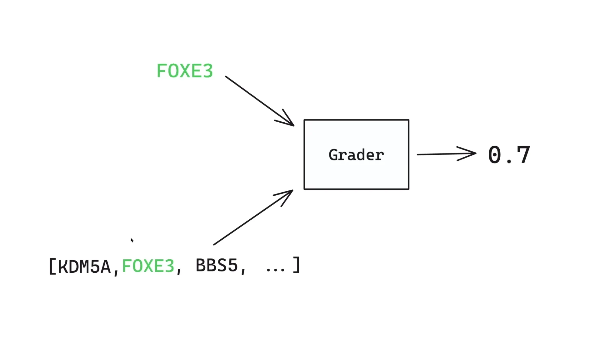 Flussdiagramm: FOXE3-Gen und weitere Gene werden durch Grader-System analysiert, Output-Score 0.7