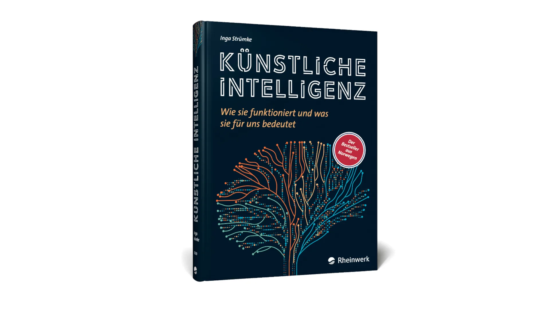 KI-Expertin Inga Strümke zu europäischer KI: 