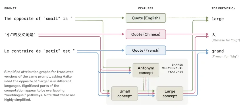 Flussdiagramm: Mehrsprachige Verarbeitung von Antonymen, verbindet