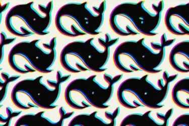 Deepseek-R1 löst Boom bei Reasoning-fähigen Sprachmodellen aus