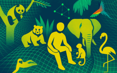 KI-Forscher Andrej Karpathy zweifelt an Skalierbarkeit aktueller LLM-Trainingstechniken