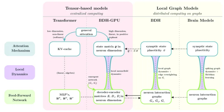 Diagramm mit vier Säulen von links nach rechts: Transformer, BDH-GPU, BDH und Brain Models. Jede Säule zeigt Attention Mechanism, Local Dynamics und Feed-Forward Network. Pfeile verbinden die Architekturen und zeigen ihre Verwandtschaft. Links sind tensorbasierte Modelle, rechts lokale Graphmodelle dargestellt.