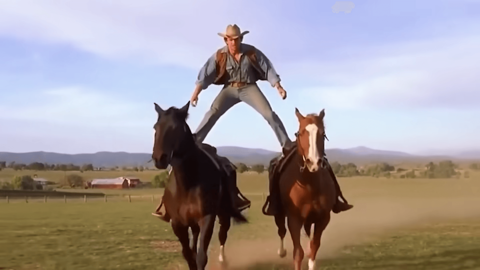 OpenAI startet Cameos für Sora 2