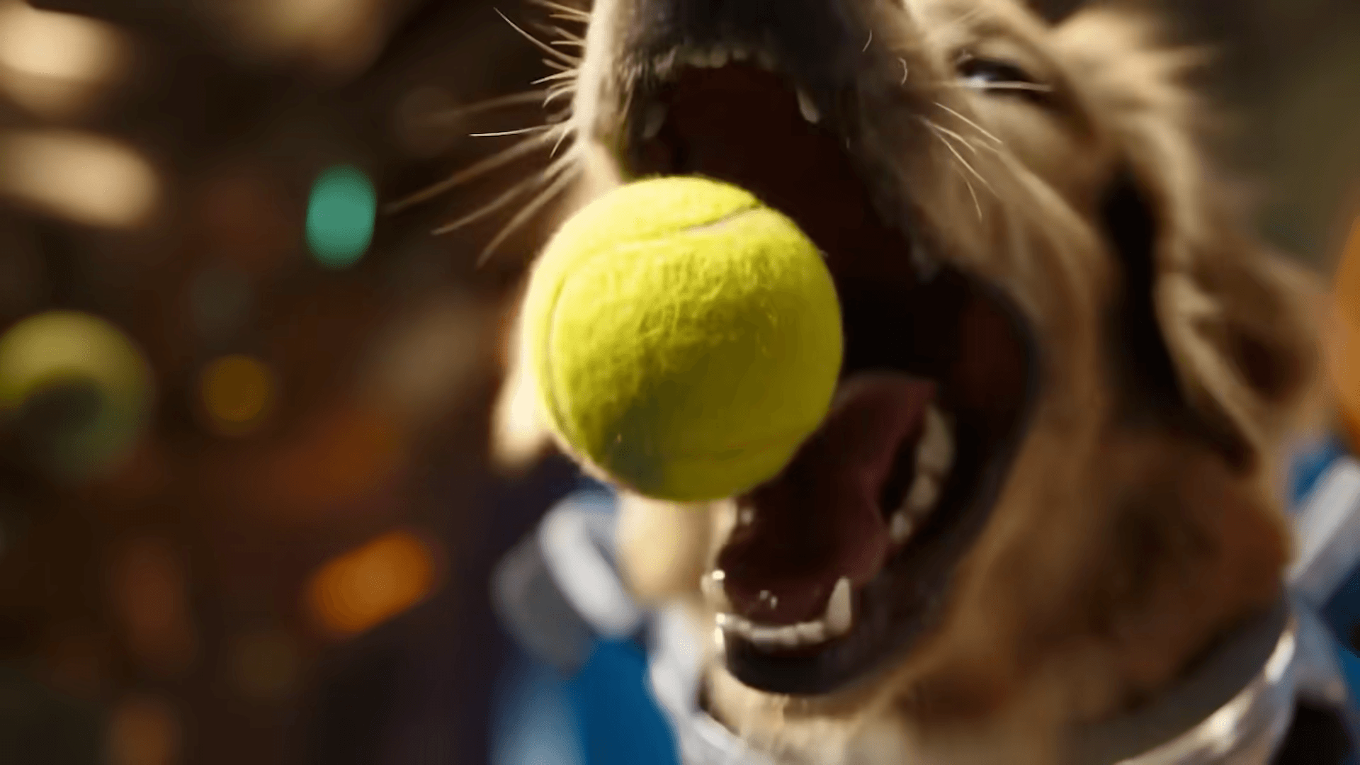 OpenAI bringt mehr Kontrolle in Sora