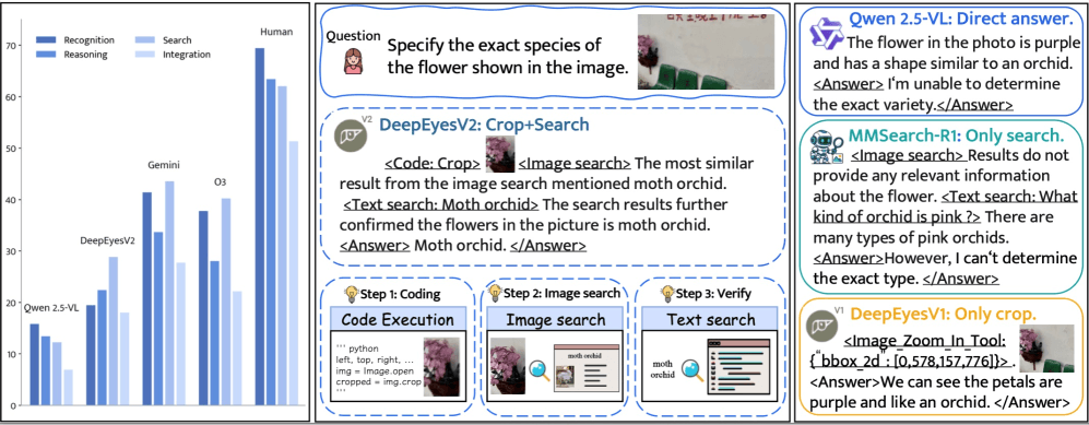 Balkendiagramm mit Erkennungs-, Reasoning-, Such- und Integrations-Accuracy verschiedener Modelle plus DeepEyesV2-Crop+Search-Beispiel zur Blumenartbestimmung