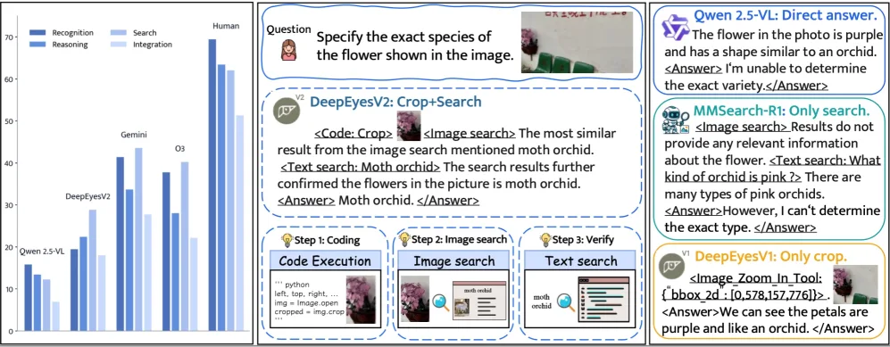 Balkendiagramm mit Erkennungs-, Reasoning-, Such- und Integrations-Accuracy verschiedener Modelle plus DeepEyesV2-Crop+Search-Beispiel zur Blumenartbestimmung