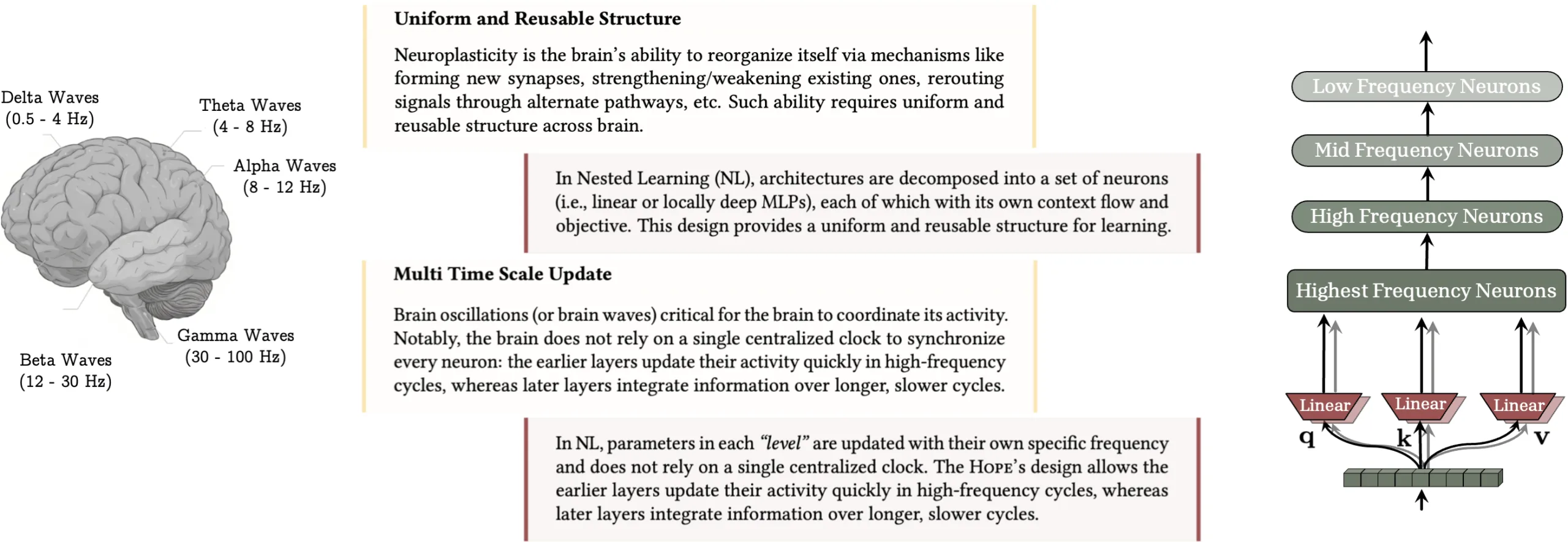 Schematische Darstellung von Gehirn­wellen (0,5–100 Hz) und vier neuronalen Frequenz­ebenen in Nested Learning, die auf Q/K/V-Linear­schichten abgebildet sind.