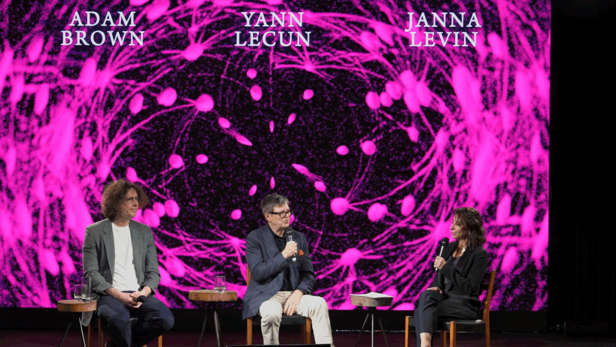 Yann LeCun und Deepmind-Forscher streiten über LLMs als Weg zur allgemeinen Intelligenz