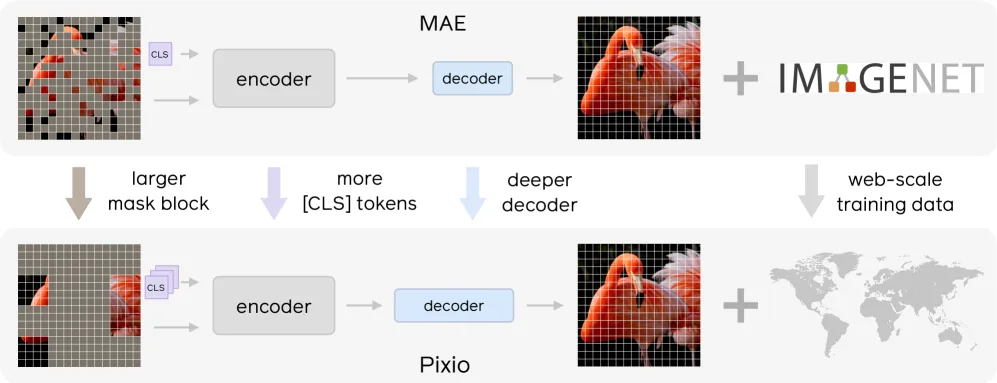 Vergleichsdiagramm von MAE und Pixio mit größeren Maskenblöcken, mehr CLS-Tokens, tieferem Decoder und Web-Scale-Daten.