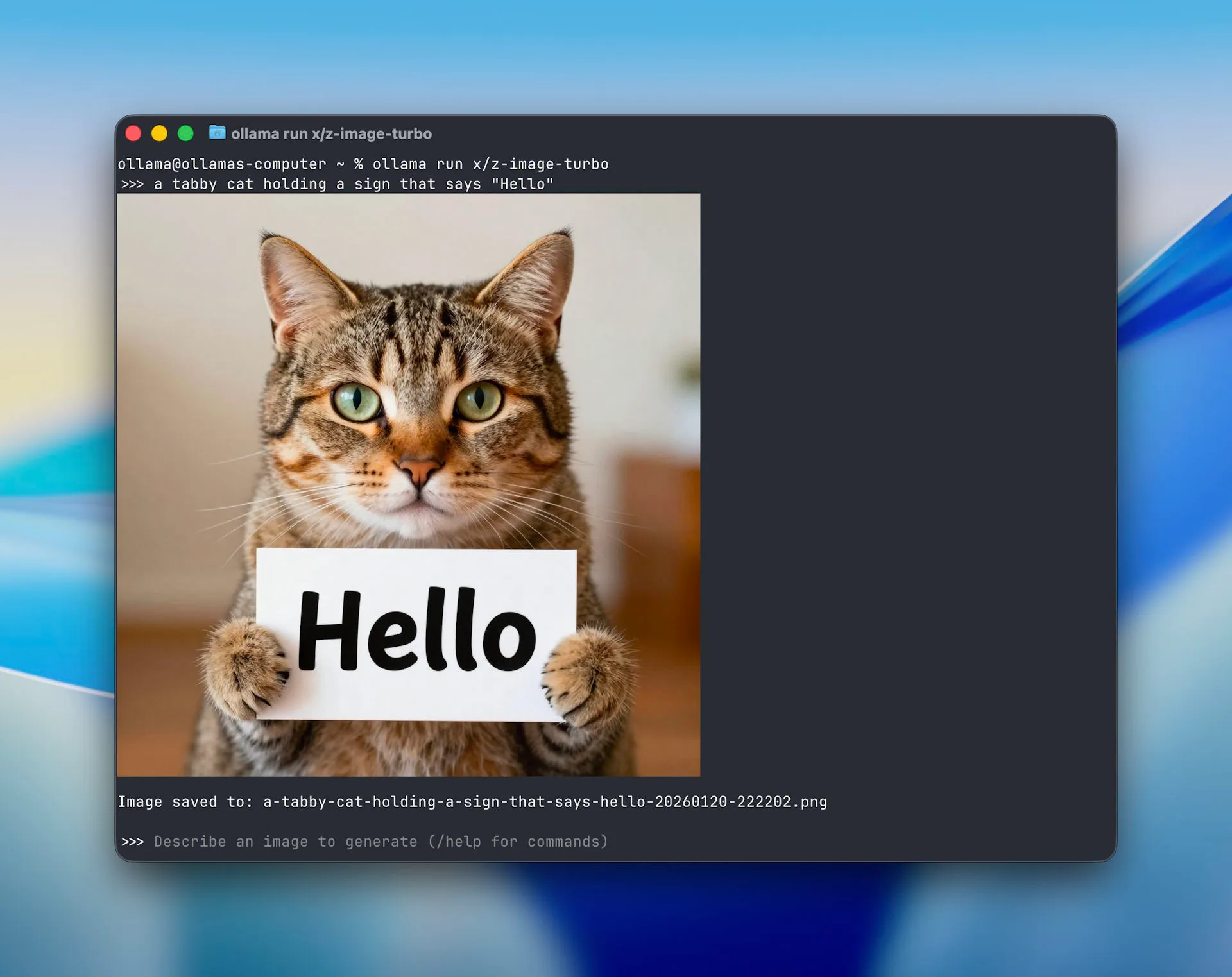 Terminal-Fenster zeigt Ollama-Prompt für eine Katze mit "Hello"-Schild und das generierte KI-Bild im Interface.