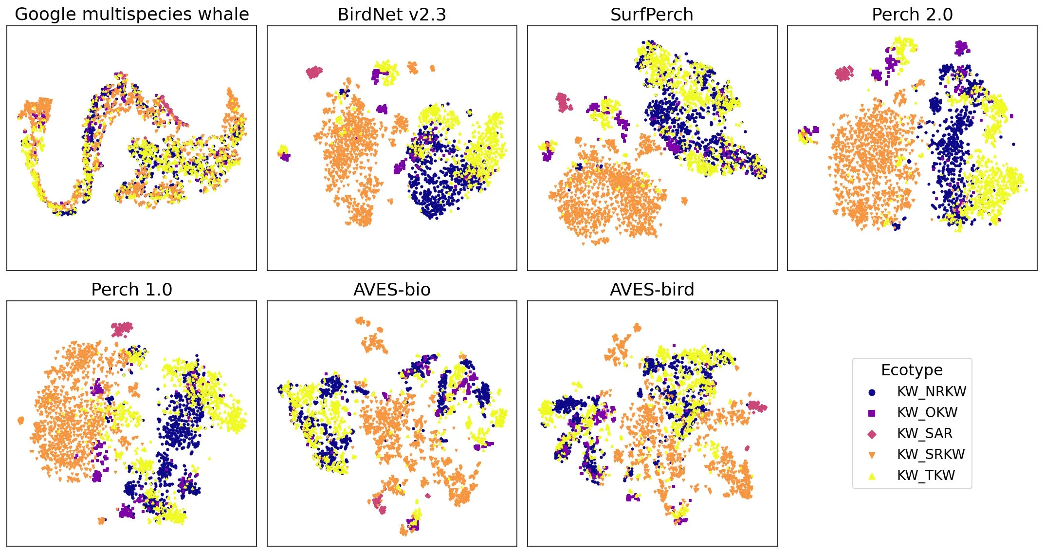 Sieben Streudiagramme zeigen, wie verschiedene Bioakustik-Modelle die Laute von fünf Orca-Subpopulationen gruppieren. Perch 2.0 und BirdNet v2.3 bilden klar getrennte farbige Cluster, während das Google Multispecies Whale Model stark vermischte Punktwolken zeigt.