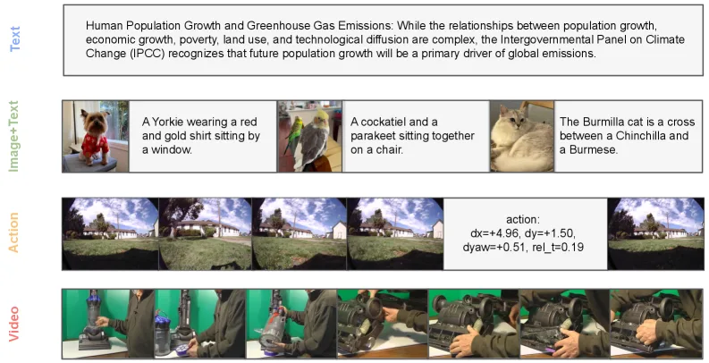 Vier Zeilen mit Beispieldaten. Oben ein Textabschnitt, darunter drei Bild-Text-Paare mit Tiermotiven, dann eine Videosequenz mit Navigationsaktionen und numerischen Werten, unten eine Videosequenz mit mehreren Einzelbildern einer Hand, die einen Gegenstand bewegt.